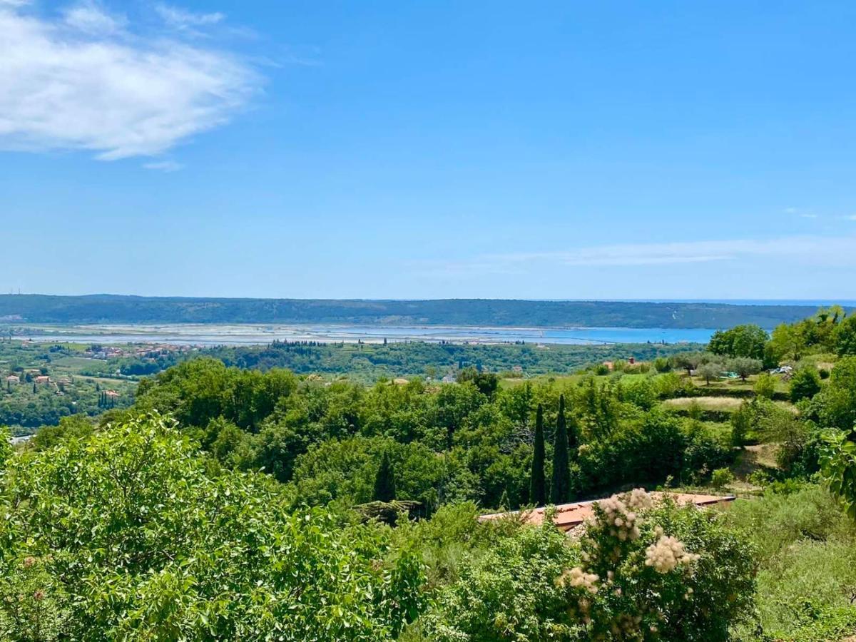 Apartma Hill Portorose Extérieur photo